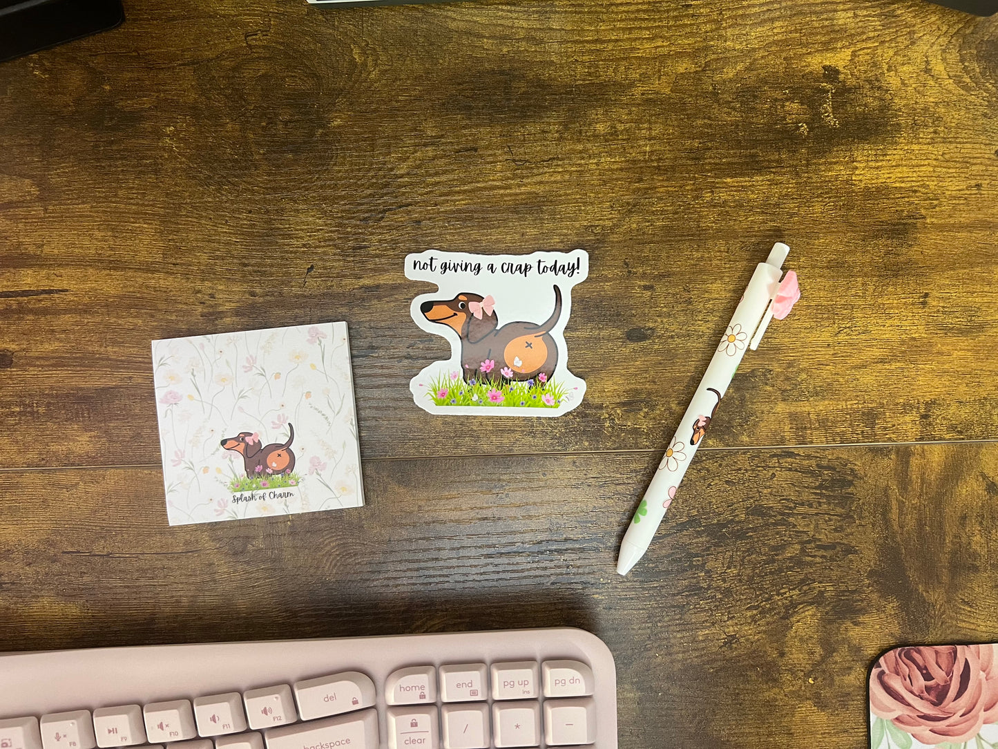 Daily Spark Bundle