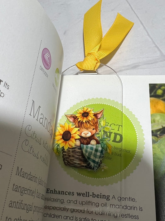 Acrylic Bookmarks with Ribbon