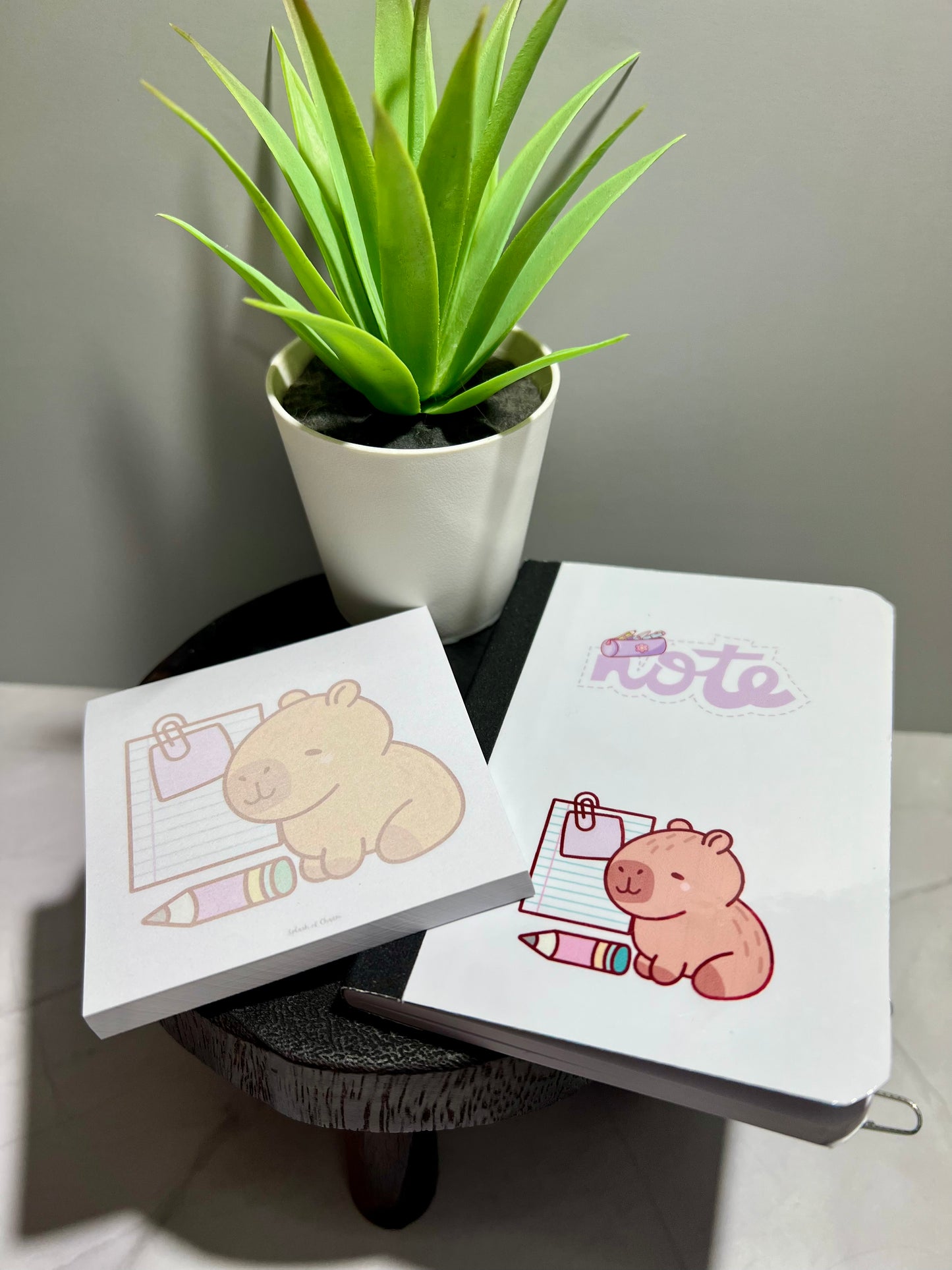 Sticky Note Pads
